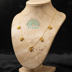 Lakshmi Coin Model Invisible Chain